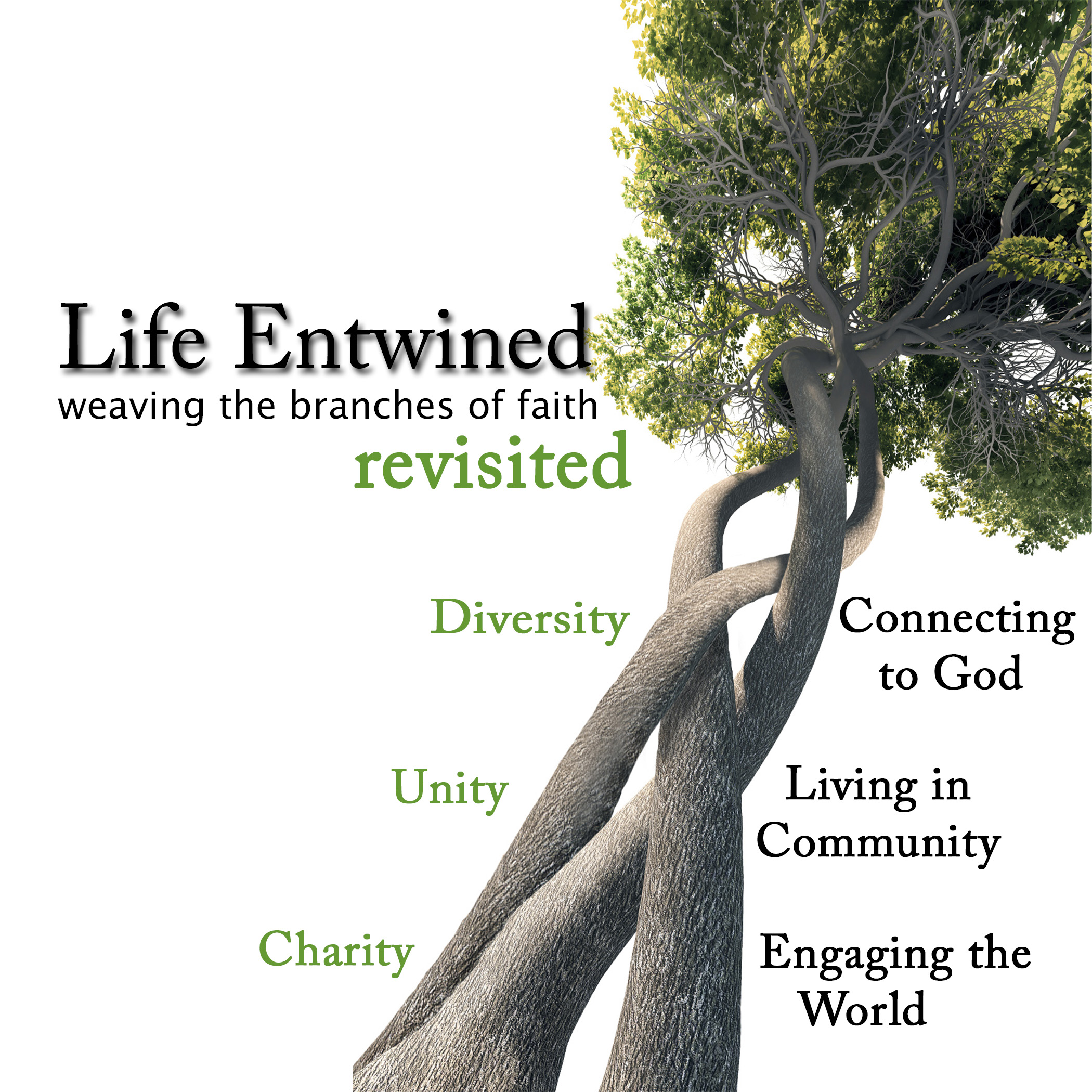 Life Entwined - Mark 8:27–9:10 - Believers Fellowship